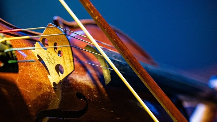 close up of a violin being played on stage