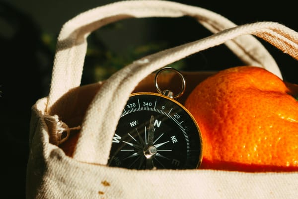 orange and compass in bag